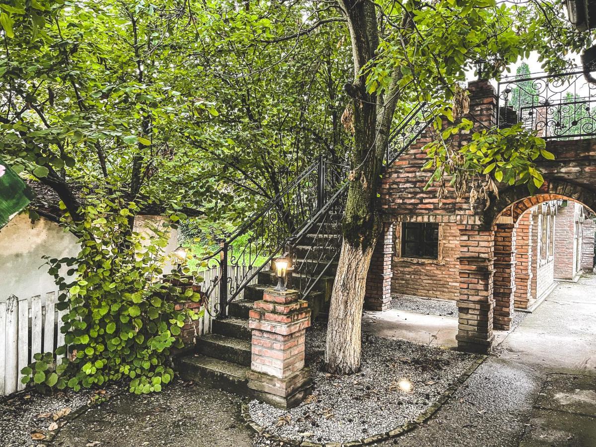Wood Mood Apartman Tiganjica Stajicevo Екстериор снимка