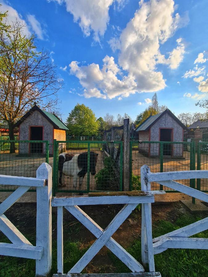 Wood Mood Apartman Tiganjica Stajicevo Екстериор снимка