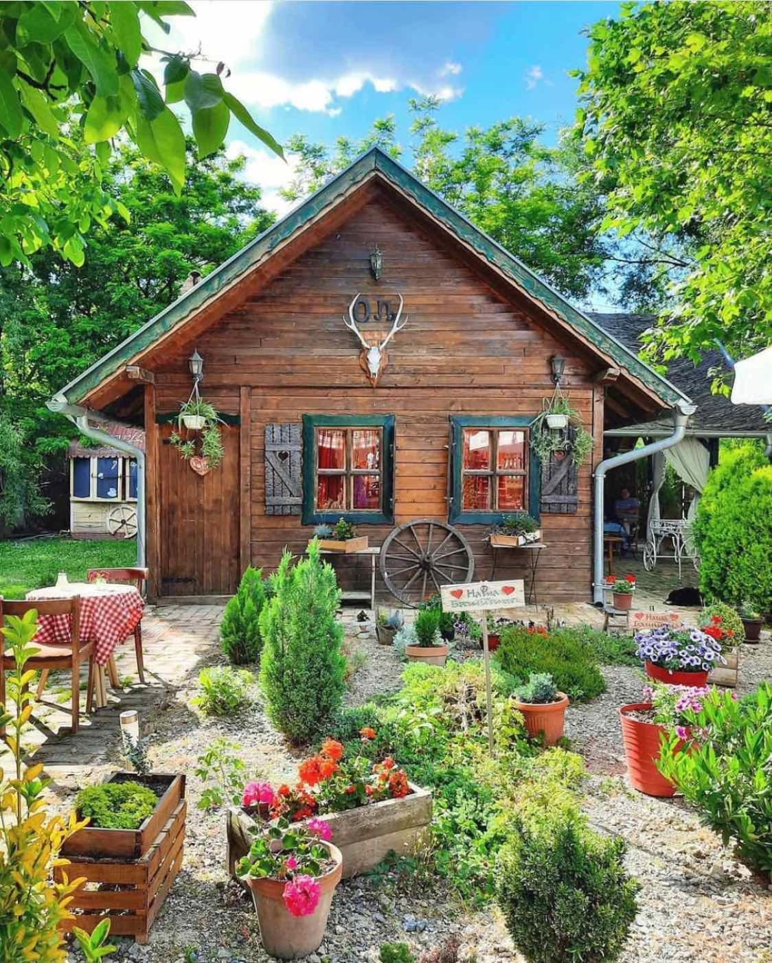 Wood Mood Apartman Tiganjica Stajicevo Екстериор снимка